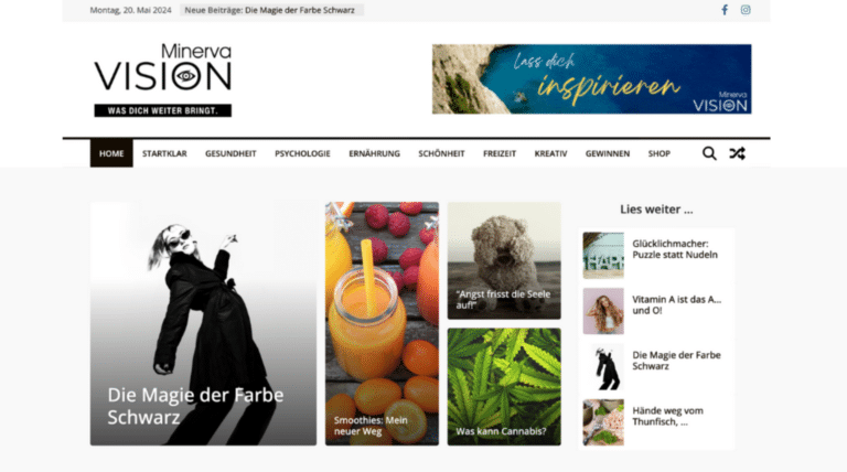 Mal etwas für EUCH: Minerva VISION