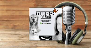 Neue Podcast-Folge: Interview mit Martin Weitkamp (4)