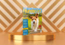 HundeWelt 10.2024 – Die neue Ausgabe