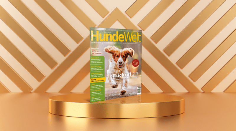 HundeWelt 11.2024 – Die neue Ausgabe