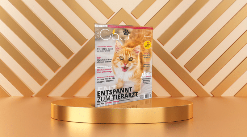 Our Cats 12.2024 ist da <span style='font-size:13px;'>| Die neue Ausgabe</span> 