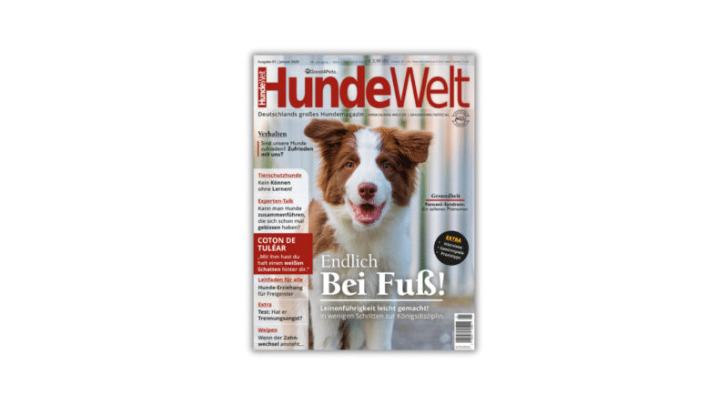 HundeWelt 01.2025 – Die neue Ausgabe