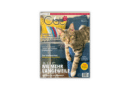 Our Cats 01.2025 ist da <span style='font-size:13px;'>| Die neue Ausgabe</span> 