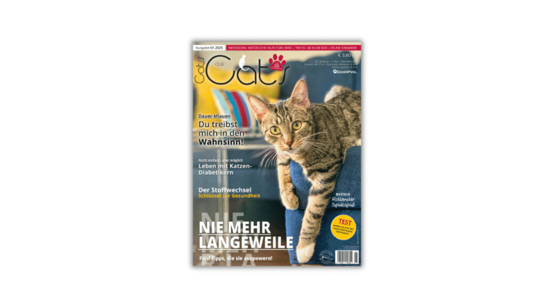 Our Cats 01.2025 ist da <span style='font-size:13px;'>| Die neue Ausgabe</span> 