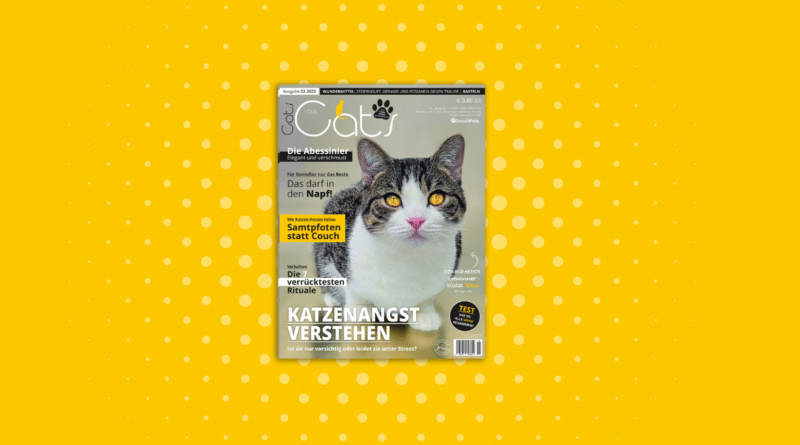 Our Cats 02.2025 ist da <span style='font-size:13px;'>| Die neue Ausgabe</span> 