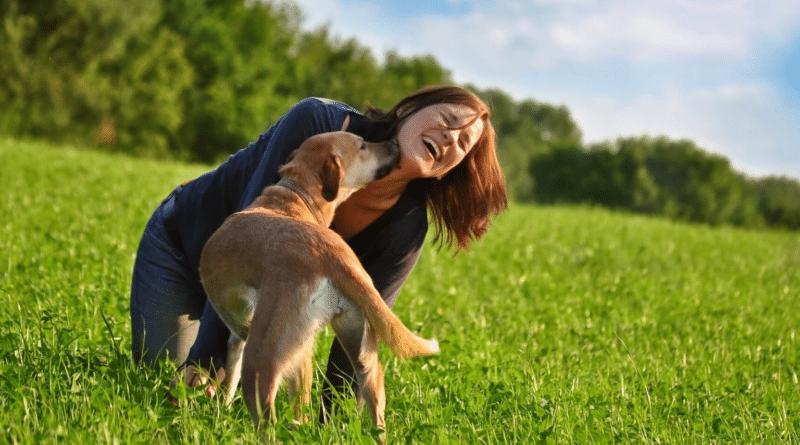 Starker Schutz in einer Welt voller Abenteuer: Die Uelzener Hunde-OP-Versicherung