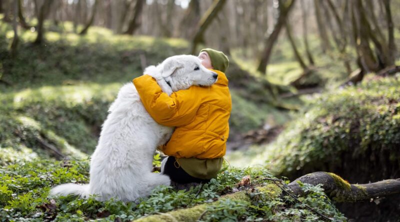 Wedeln, weil wir es wollen?