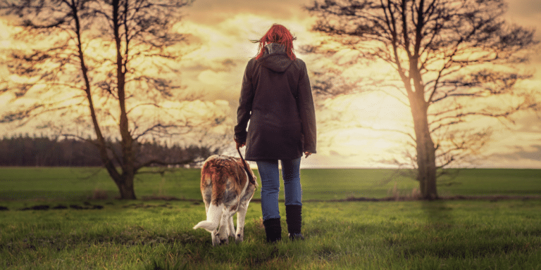 Ab jetzt wird ein Organ unser Leben bestimmen!