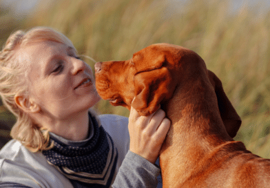 Wie geduldig bist du als Hundehalter? <span style='font-size:13px;'>| Mach den Test!</span> 
