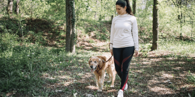 Was wahre Führung ausmacht