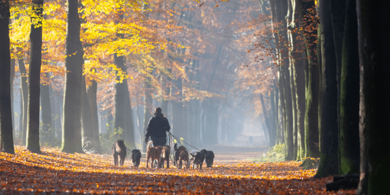 Wie wir einfühlsam und berechenbar werden