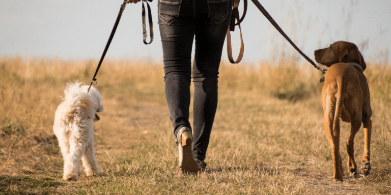 Unsere Gedanken sind überaus machtvoll