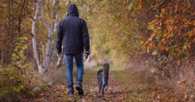Untherapiebare Hunde gibt es nicht