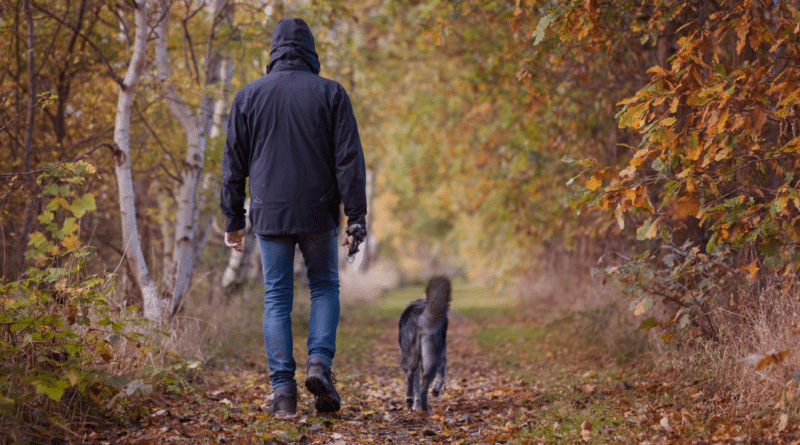 Untherapiebare Hunde gibt es nicht