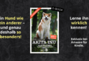 “Akita Inu” startet neue E-Book Serie bei Amazon