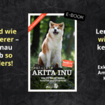 “Akita Inu” startet neue E-Book Serie bei Amazon