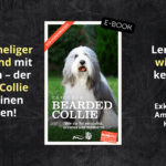 Bearded Collie Ratgeber neu als E-Book für Kindle bei Amazon