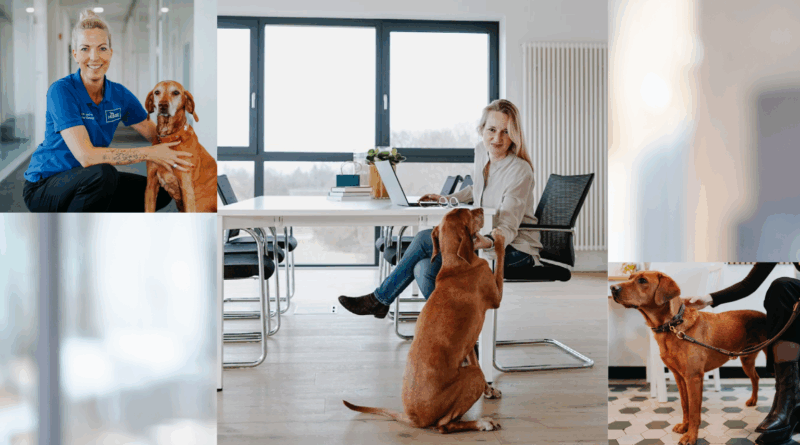 Hunde im Büro? Unbedingt – wenn die Regeln stimmen <span style='font-size:13px;'>| Company-News</span> 