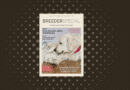 BreederSpecial 3.2025 <span style='font-size:13px;'>| Die neue Ausgabe</span> 