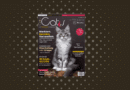 Our Cats 07.2025 ist da <span style='font-size:13px;'>| Die neue Ausgabe</span> 