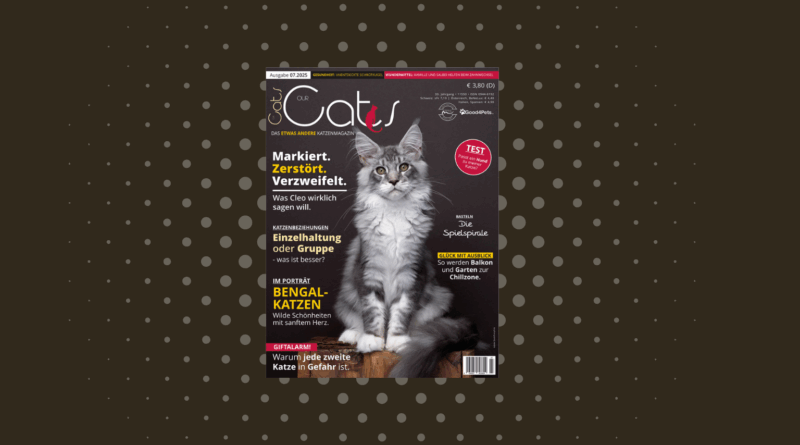 Our Cats 07.2025 ist da <span style='font-size:13px;'>| Die neue Ausgabe</span> 