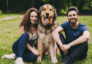 Beziehungsbooster Hund: Warum dein Hund deine Beziehung besser machen kann