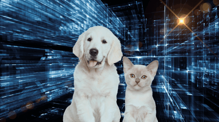 Haustier-Trends: Diese 5 Entwicklungen verändern dein Leben mit Hund & Katze