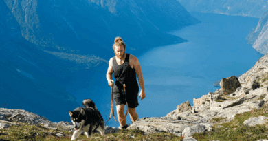 Mit Hund nach Norwegen: Wichtige Einreisebestimmungen und Tipps für deinen Urlaub