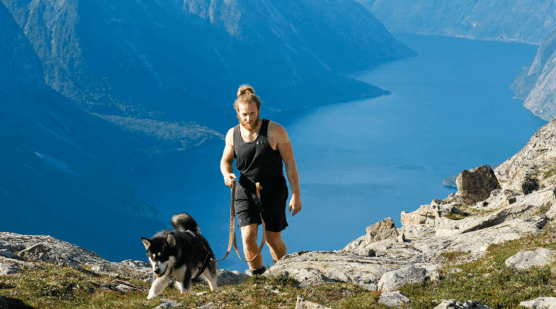 Mit Hund nach Norwegen: Wichtige Einreisebestimmungen und Tipps für deinen Urlaub