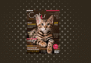 Our Cats 08.2025 ist da <span style='font-size:13px;'>| Die neue Ausgabe</span> 