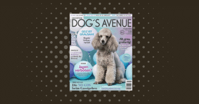 Dog´s Avenue 5.2025 <span style='font-size:13px;'>| Die neue Ausgabe</span> 