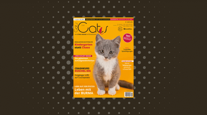Our Cats 09.2025 ist da <span style='font-size:13px;'>| Die neue Ausgabe</span> 