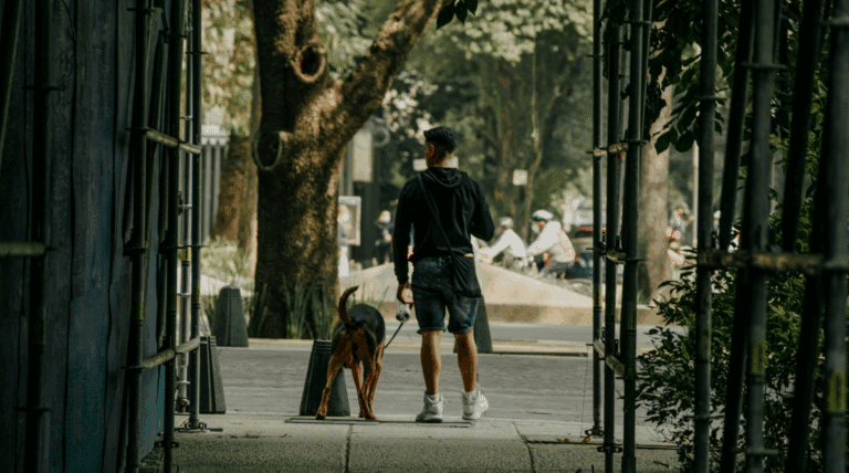 Die große Beutel-Verweigerung