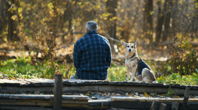 Die Lektion der Treue: Was Hunde uns über das Menschsein lehren