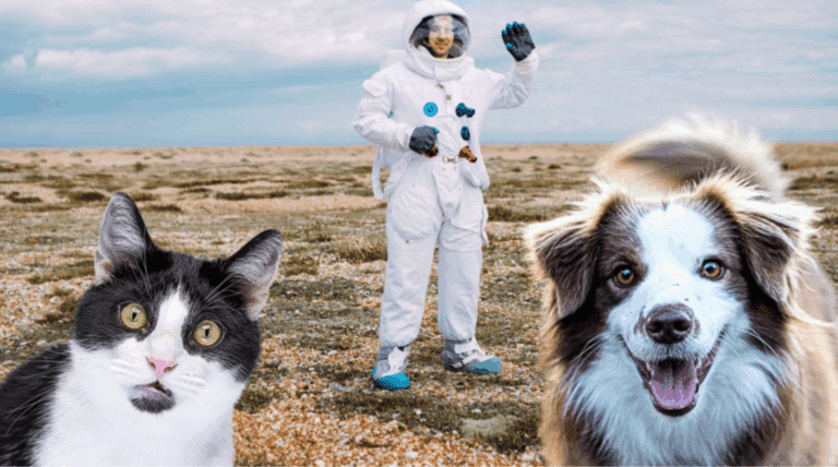 Neu: Das Minerva Community Hub-Programm | Sei dabei!