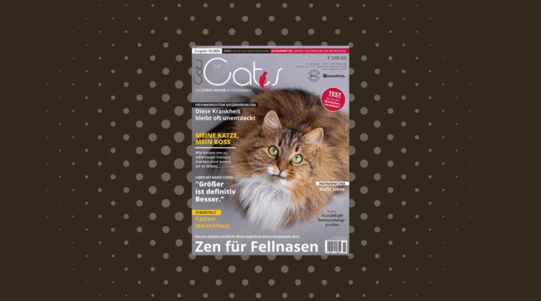 Our Cats 10.2025 ist da