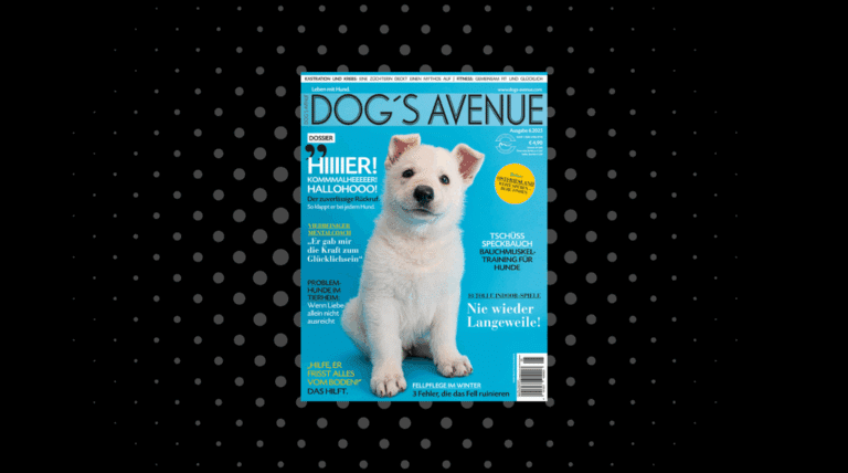 Dog´s Avenue 6.2025