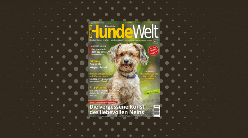 HundeWelt 10.2025 – Die neue Ausgabe