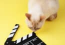 Entertainment & Pop-Kultur – “Die Katze hinter Hollywoods berühmtester Stimme”