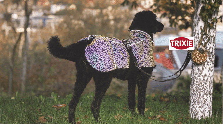 Spot an: Mantel Limoux für maximale Sicherheit