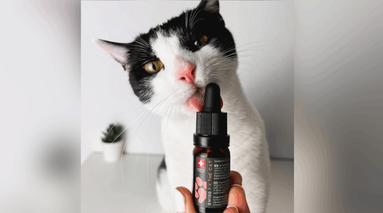 BD Öl bei Tieren bei Stress rund um Weihnachten und Silvester + 15% Rabatt