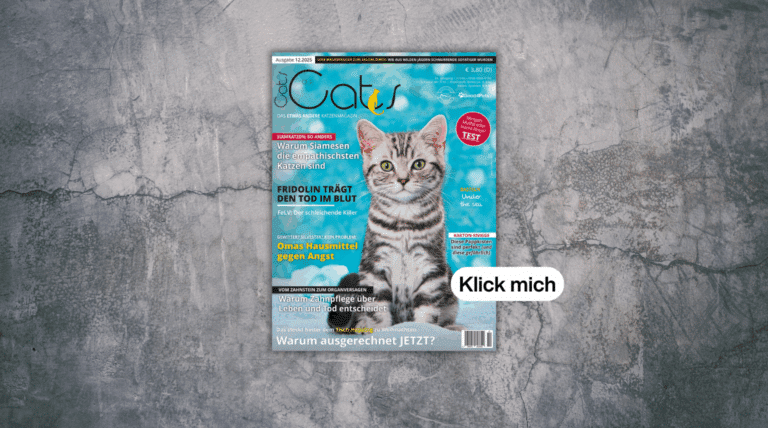 Our Cats 12.2025 ist erschienen