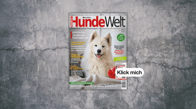 HundeWelt 12.2025 – Die neue Ausgabe