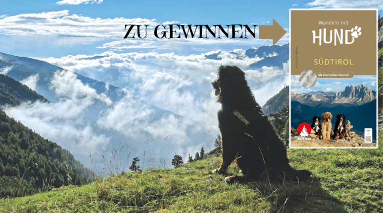 Gewinne ein Rother Wanderbuch »Wandern mit Hund Südtirol«