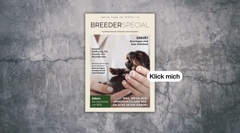 BreederSpecial 1.2026