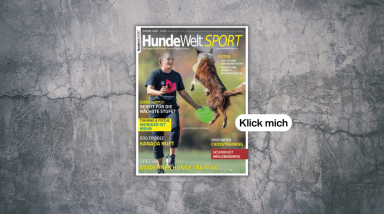 HundeWelt SPORT 1.2026