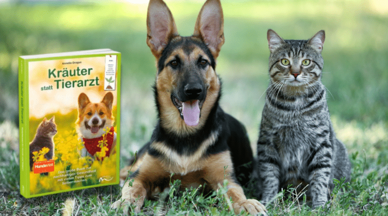 Heilpflanzen für Hunde und Katzen – Was die grüne Apotheke wirklich kann