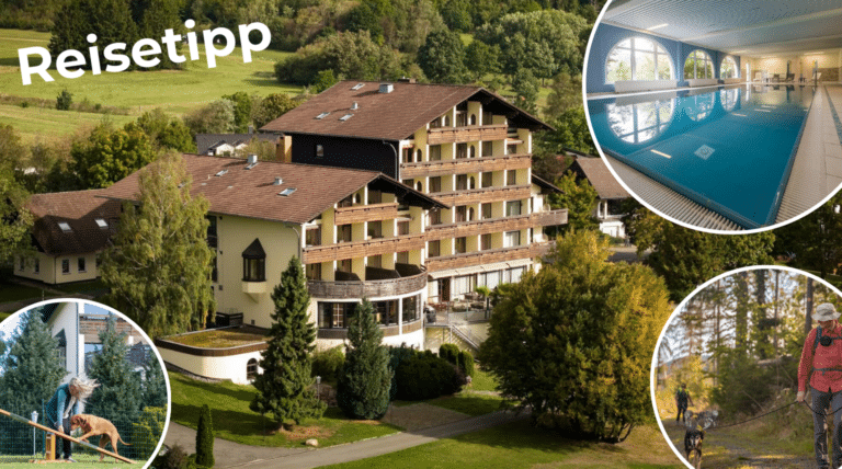 Reisetipp Urlaub mit Hund: Wolfshof