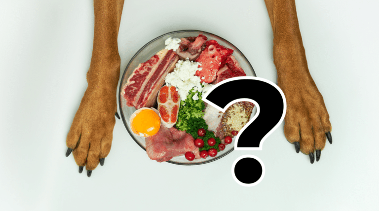 Angst vor Mangelversorgung? So fütterst du roh – aber sicher und ohne Taschenrechner-Diplom!