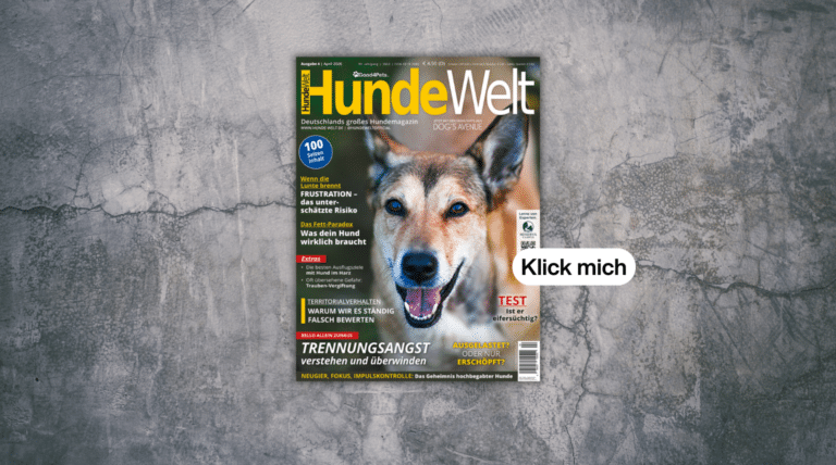 HundeWelt 04.2026 – Die neue Ausgabe ist da!